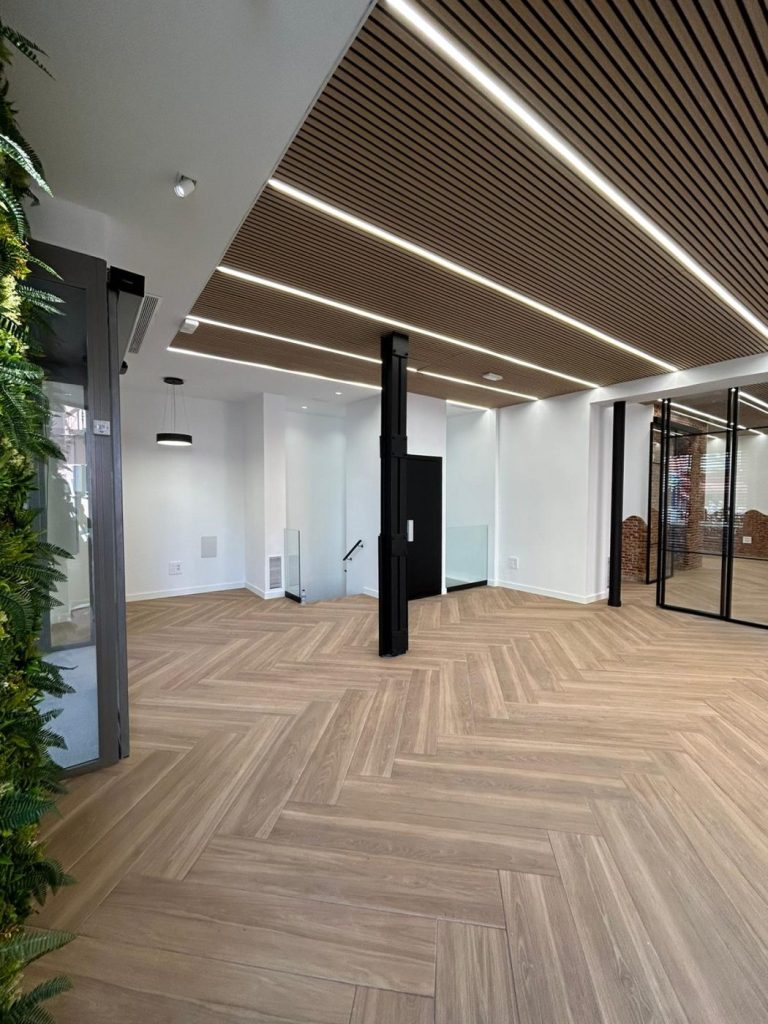 Reforma Bravo Murillo