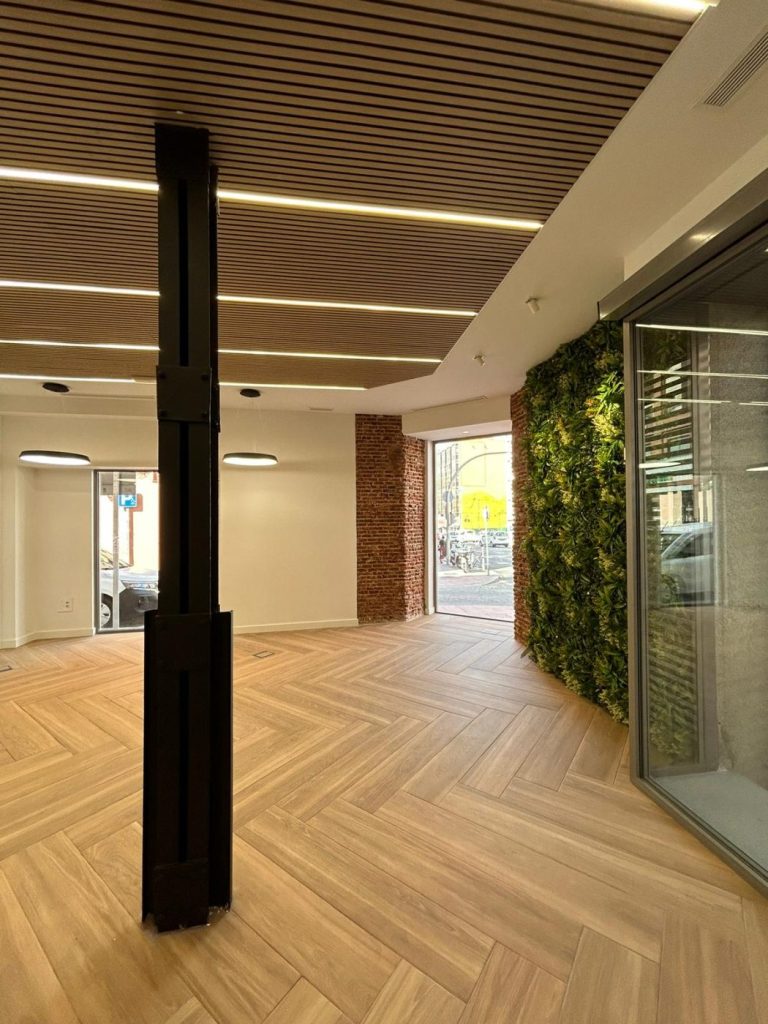 Reforma Bravo Murillo